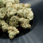 Store – gallery image 5