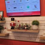 Store – gallery image 4