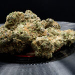 Store – gallery image 3