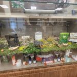 Green Leaf Dispensary – gallery image 1