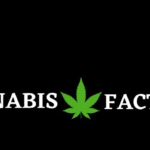 Store – gallery image 5