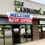 Store – gallery image 5