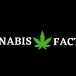 Store – gallery image 5