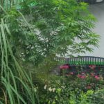 Store – gallery image 1