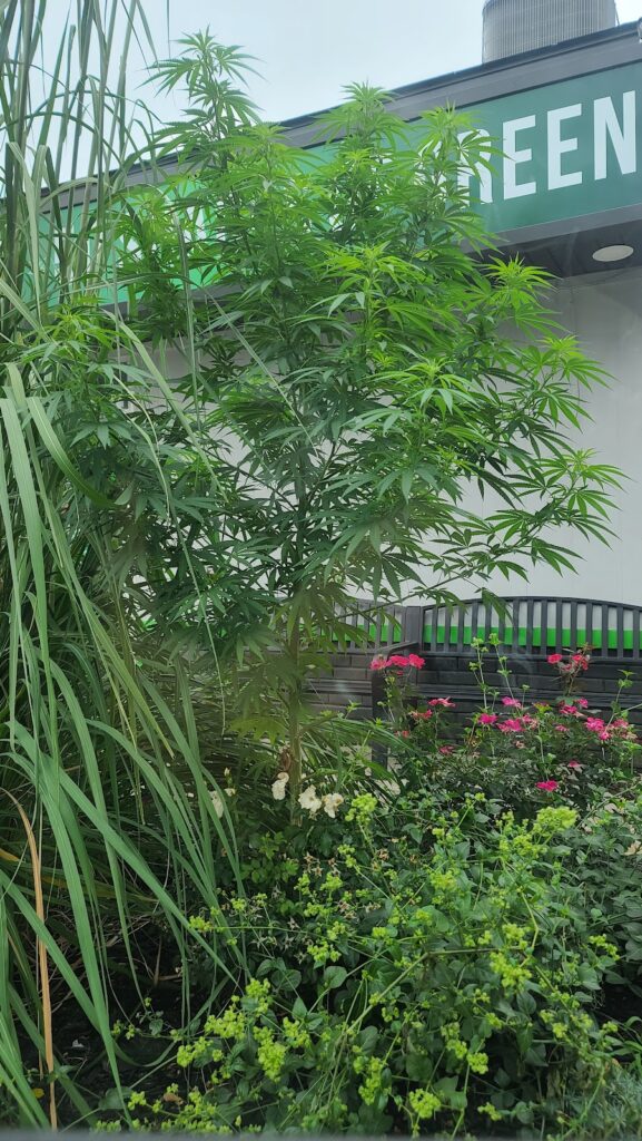 Store – main photo