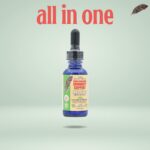 Store – gallery image 4