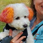 Pure Ohio Wellness – gallery image 2