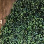 Store – gallery image 2