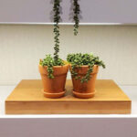 Store – gallery image 5