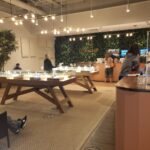 The Botanist Columbus Dispensary – gallery image 2