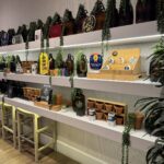 The Botanist Columbus Dispensary – gallery image 3