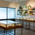 Store – gallery image 2