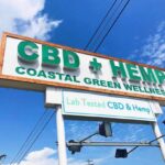 Store – gallery image 2