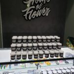 Store – gallery image 4