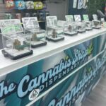 Store – gallery image 3