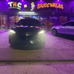 Store – gallery image 5