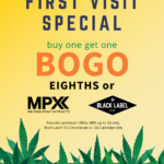 Store – gallery image 4