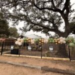 Greenery Cannabis Shop – gallery image 3