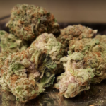 Store – gallery image 2