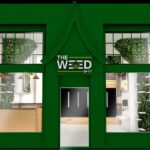 Store – gallery image 1