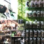 Store – gallery image 2