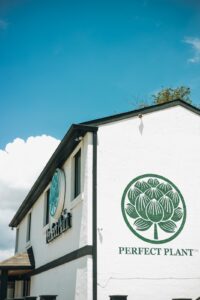 Perfect Plant – Cannabis Dispensary — Nashville, TN