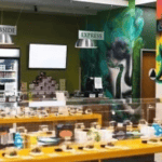 Store – gallery image 3