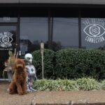 The Holistic Connection – Brentwood – gallery image 1