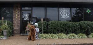 The Holistic Connection – Brentwood — Brentwood, TN