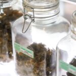 Store – gallery image 2