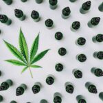 Store – gallery image 2