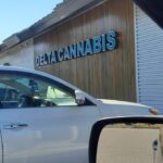 Store – gallery image 1