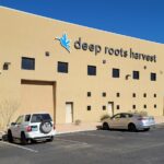 Store – gallery image 1