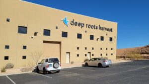 Deep Roots Harvest Mesquite — Mesquite, NV