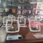 Store – gallery image 4