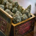 Store – gallery image 3