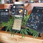 Store – gallery image 4