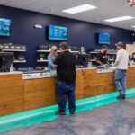 Store – gallery image 5