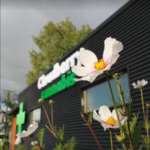 Store – gallery image 1