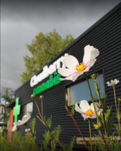 Cloudberry Cannabis Dispensary | Anchorage — Anchorage, AK