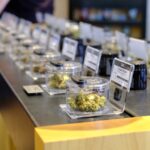 Zen Leaf Tempe – gallery image 2