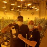 Store – gallery image 2