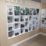 Store – gallery image 5