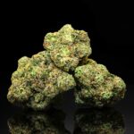 Store – gallery image 3