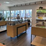 Store – gallery image 3