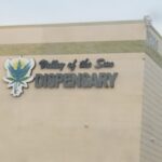 Store – gallery image 1