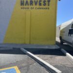 Store – gallery image 3