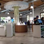 Store – gallery image 2