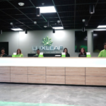 Store – gallery image 4