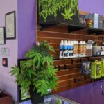 The Dispensary – gallery image 3